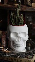 Load image into Gallery viewer, Skull Planter Vessel - Medium
