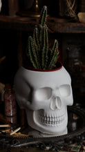 Load image into Gallery viewer, Skull Planter Vessel - Medium