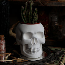 Load image into Gallery viewer, Skull Planter Vessel - Medium