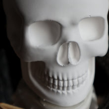 Load image into Gallery viewer, Skull Planter Vessel - Medium