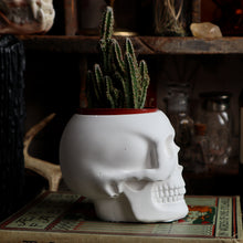 Load image into Gallery viewer, Skull Planter Vessel - Medium