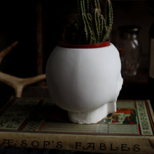 Load image into Gallery viewer, Skull Planter Vessel - Medium